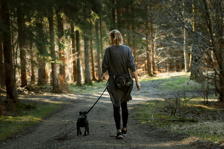 Workout with your furry friend!